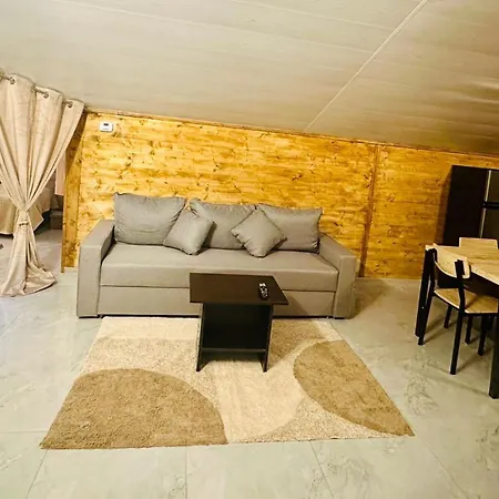 Casawyw 4 Cu 5 Lejlighed Craiova